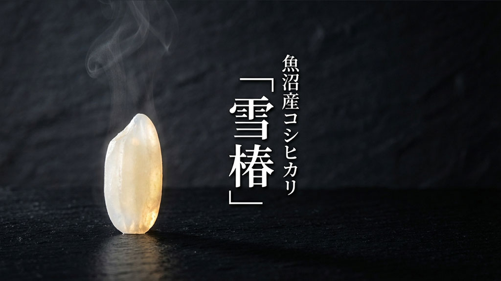 魚沼産コシヒカリの最高級ブランド「雪椿」の紹介